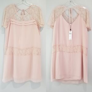 BCBG Pink Lace Shift dress in Light Rose Pink -C